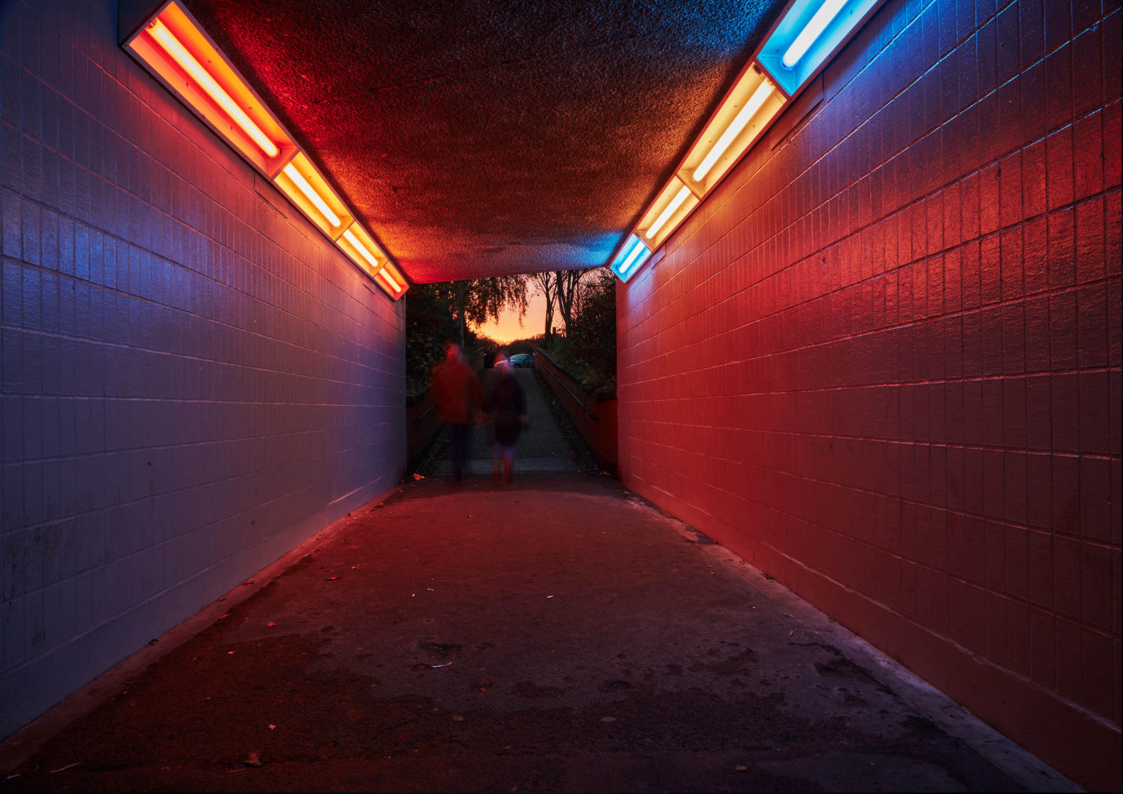 Photo credits: Tom Andrew