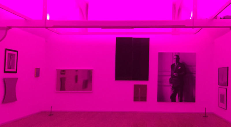 Image of Fiona Banner
